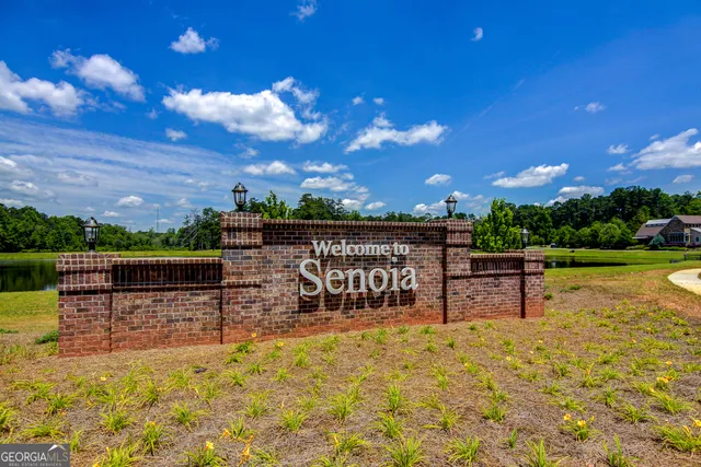 $535,000 | 209 Maddington Court, Senoia, GA 30276
