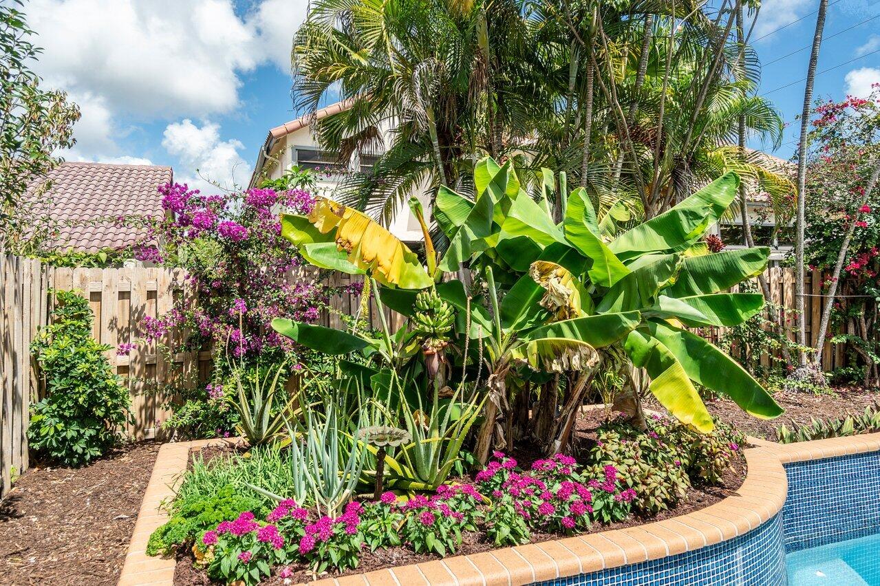 5535 Ashpon Court Boca Raton, FL 33486 - Photo 12 of 34 Banana Trees!