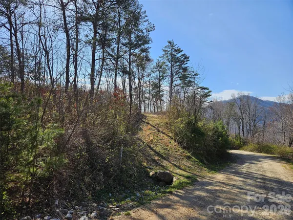 $325,000 | 989 High Rock Vw Drive, Canton, NC 28716