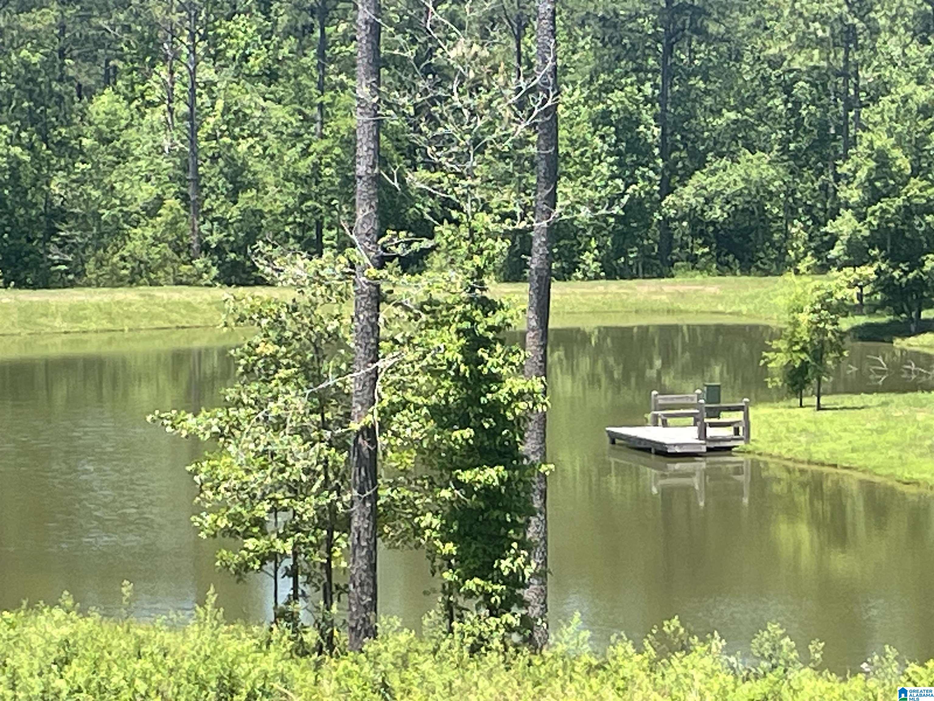 0 Chelsea Farms Road, Unit 24 Chelsea, AL 35043 - Photo 10 of 37