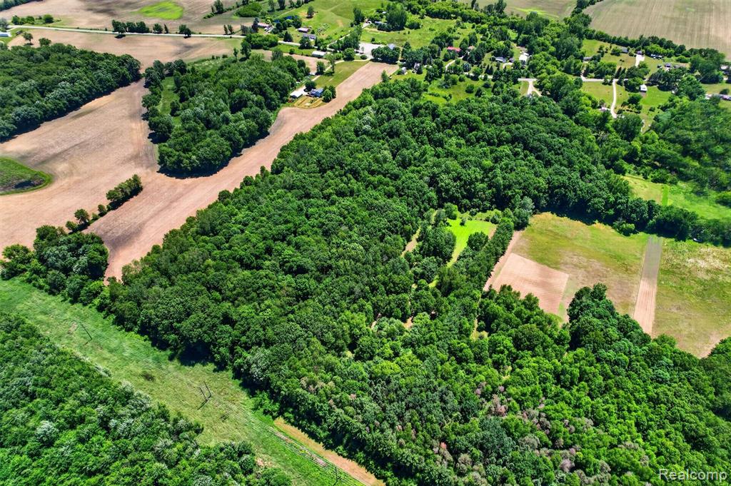 V1 Murray Road Dansville, MI 48819 - Photo 12 of 16