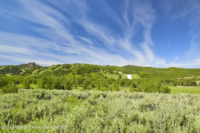 a view of an green field