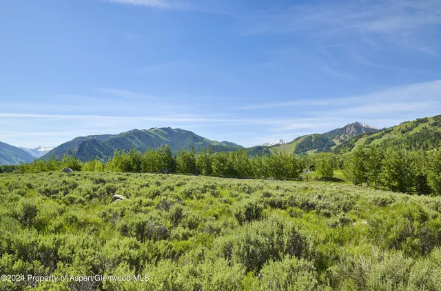 a view of a lush green hillside and a houses
