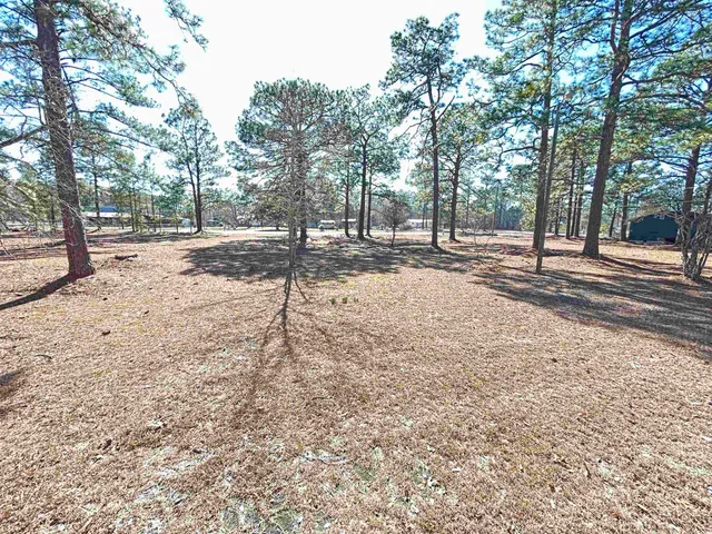 $275,000 | 2618 Highway 9, Dillon, SC 29536