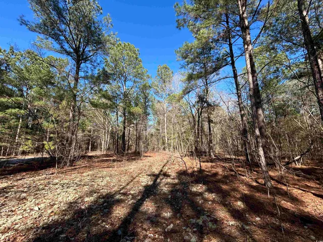 $275,000 | 2618 Highway 9, Dillon, SC 29536