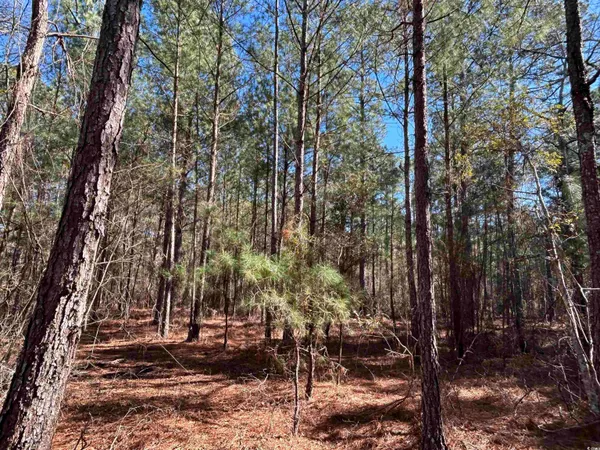 $275,000 | 2618 Highway 9, Dillon, SC 29536