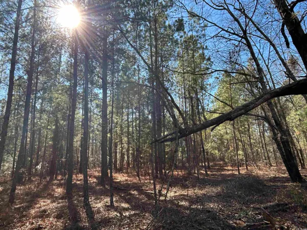 $275,000 | 2618 Highway 9, Dillon, SC 29536