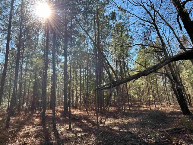 $275,000 | 2618 Highway 9, Dillon, SC 29536