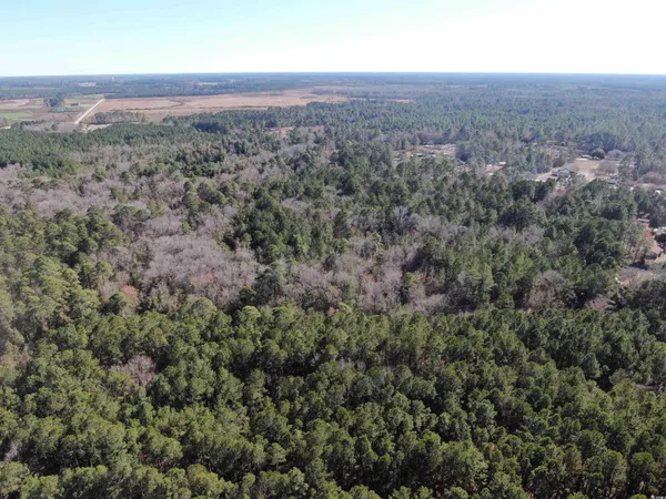 $275,000 | 2618 Highway 9, Dillon, SC 29536