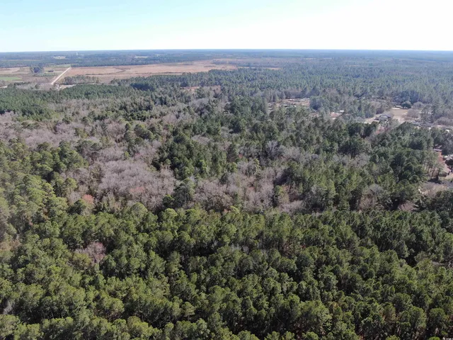 $275,000 | 2618 Highway 9, Dillon, SC 29536