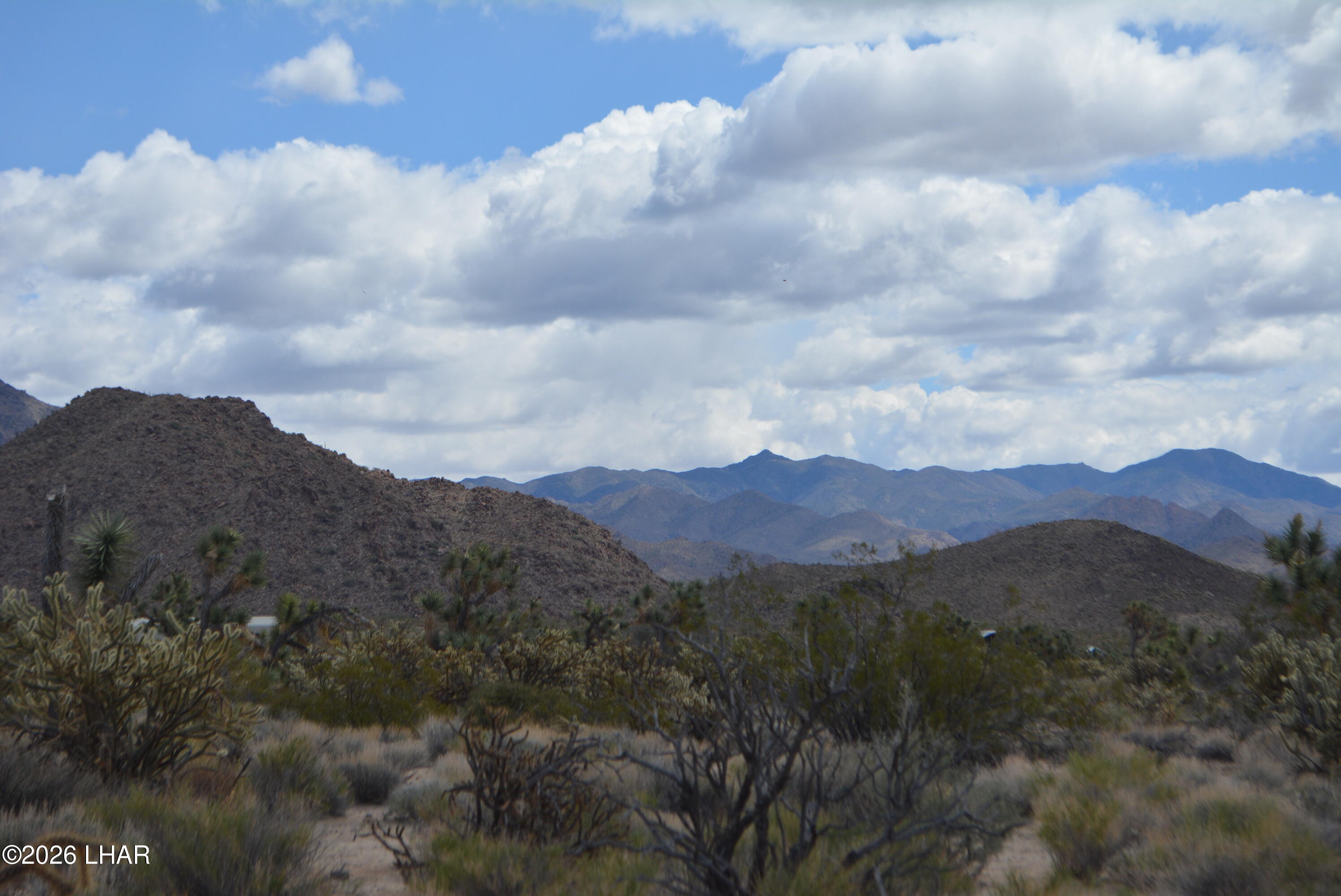 11900 Alan Road Yucca, AZ 86438 - Photo 77 of 93 DSC_1383