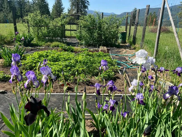 $355,000 | 3434 G Rockcut Road, Kettle Falls, WA 99141