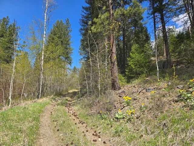 $355,000 | 3434 G Rockcut Road, Kettle Falls, WA 99141