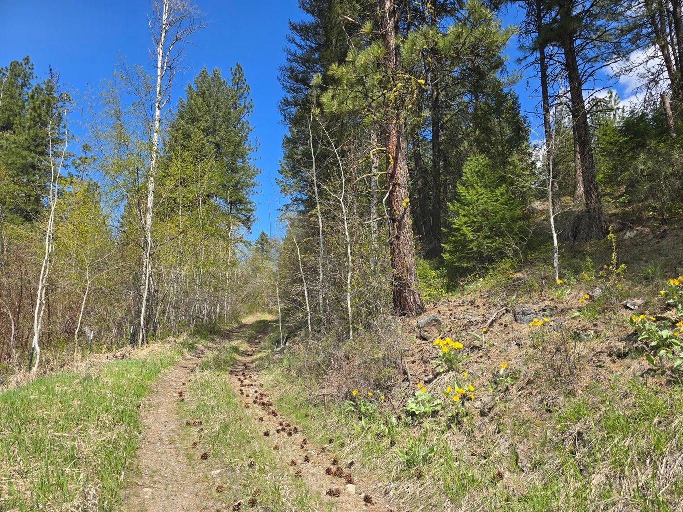 3434 G Rockcut Road Kettle Falls, WA 99141 - Photo 36 of 49