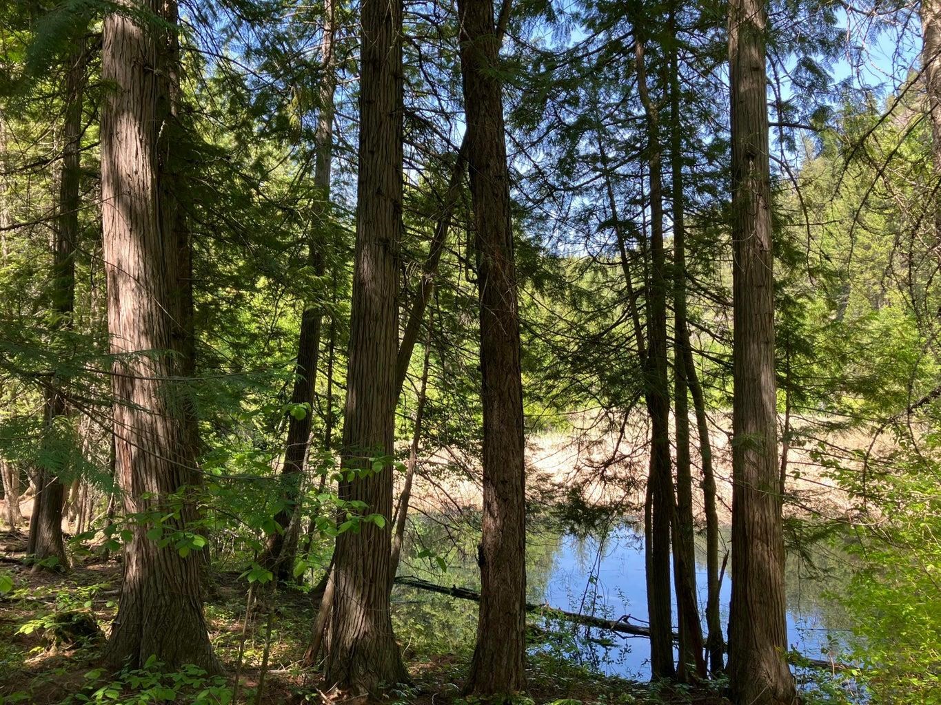 3434 G Rockcut Road Kettle Falls, WA 99141 - Photo 38 of 49