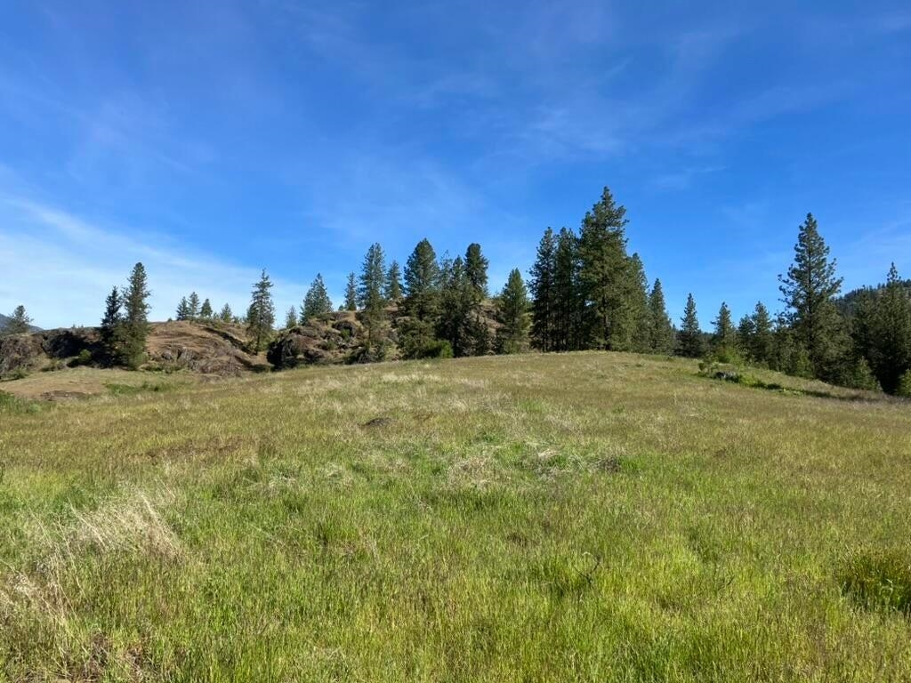 3434 G Rockcut Road Kettle Falls, WA 99141 - Photo 43 of 49