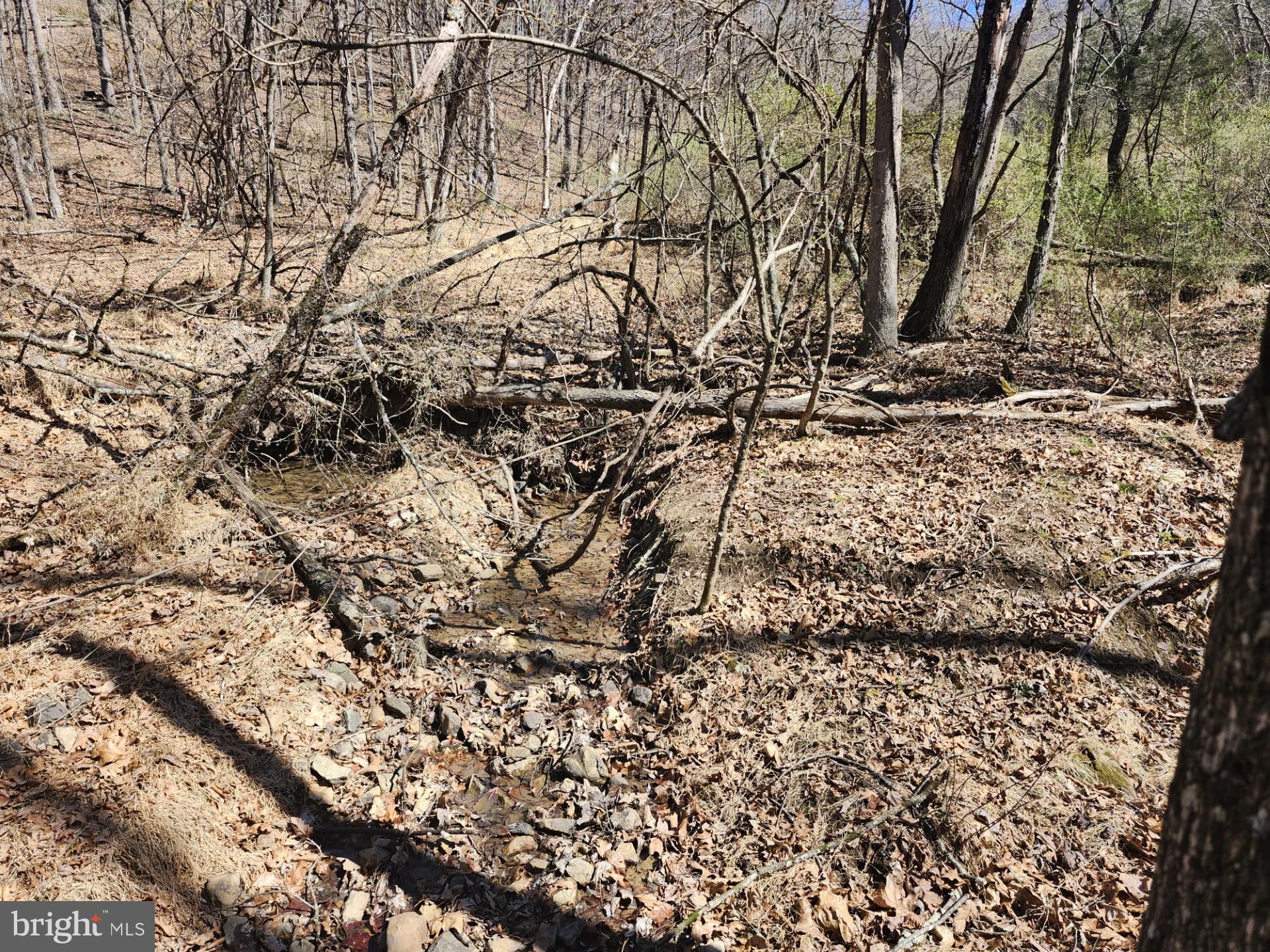 A J Kelley Road Old Fields, WV 26845 - Photo 38 of 65