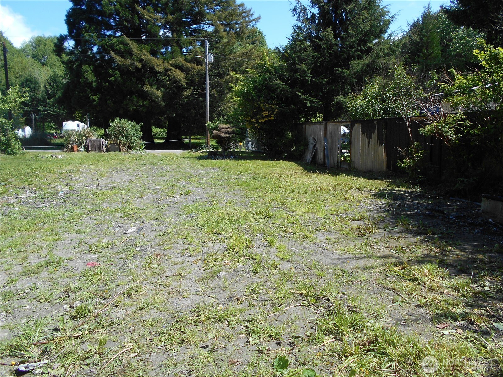 170 Kelly Road Brinnon, WA 98320 - Photo 8 of 29 a backyard of a house with yard and tree
