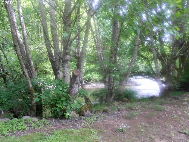 8330 King Road Grand Ronde, OR 97347 - Photo 10 of 14
