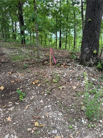 $70,000 | Tbd Tbd Coelleda School Road, Roach, MO 65787