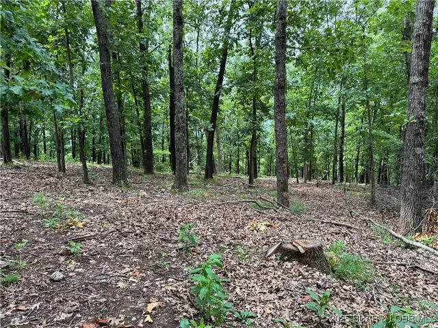 $70,000 | Tbd Tbd Coelleda School Road, Roach, MO 65787