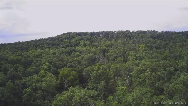 $70,000 | Tbd Tbd Coelleda School Road, Roach, MO 65787