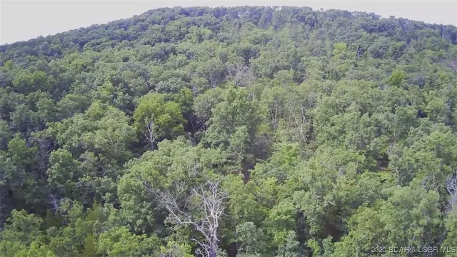 $70,000 | Tbd Tbd Coelleda School Road, Roach, MO 65787