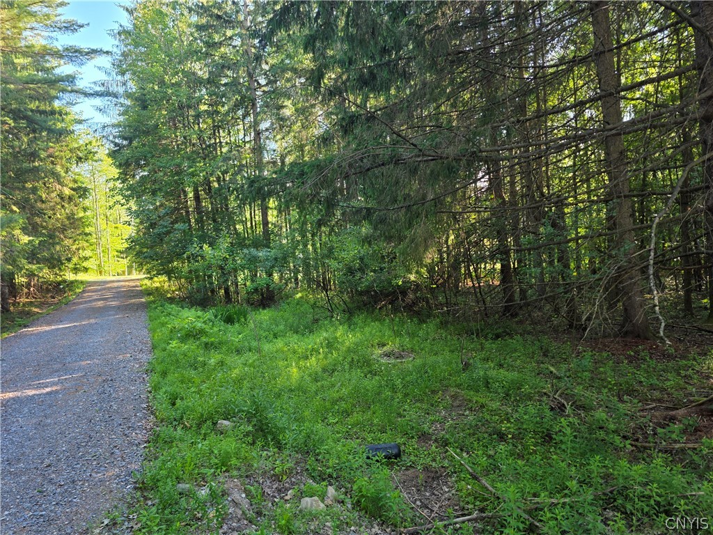 344 Brown Road Frankfort, NY 13340 - Photo 31 of 38