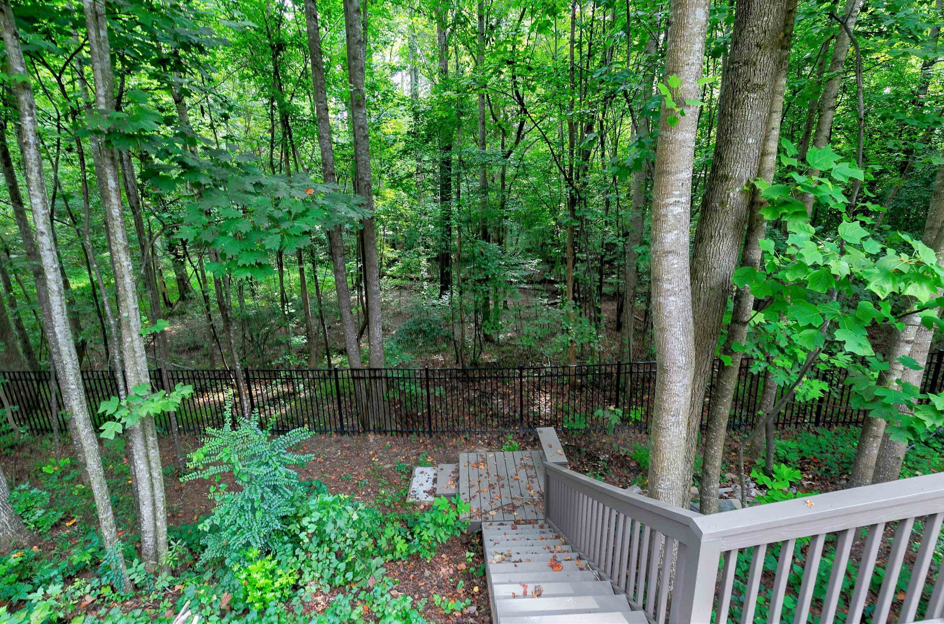 8431 Henderson Road Apex, NC 27539 - Photo 55 of 56 Steps to lower level