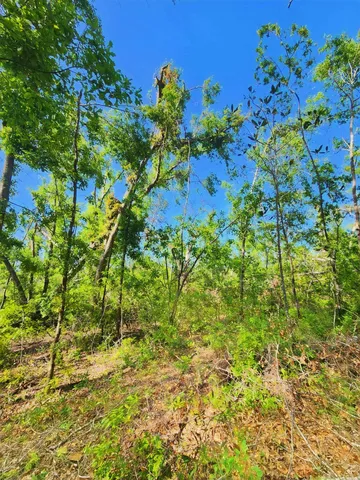 $49,900 | Lot 14 Northwest Champion Oak Boulevard, Jennings, FL 32053