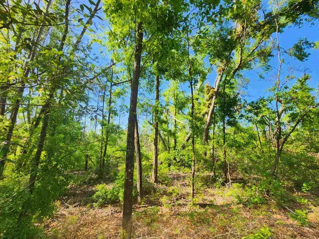 $49,900 | Lot 14 Northwest Champion Oak Boulevard, Jennings, FL 32053