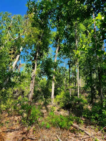$49,900 | Lot 14 Northwest Champion Oak Boulevard, Jennings, FL 32053