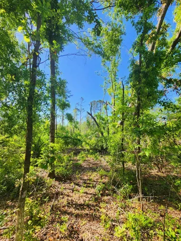 $49,900 | Lot 14 Northwest Champion Oak Boulevard, Jennings, FL 32053