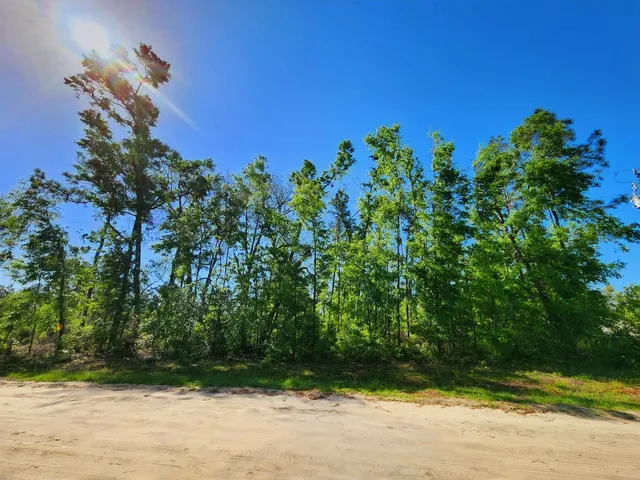 $49,900 | Lot 14 Northwest Champion Oak Boulevard, Jennings, FL 32053