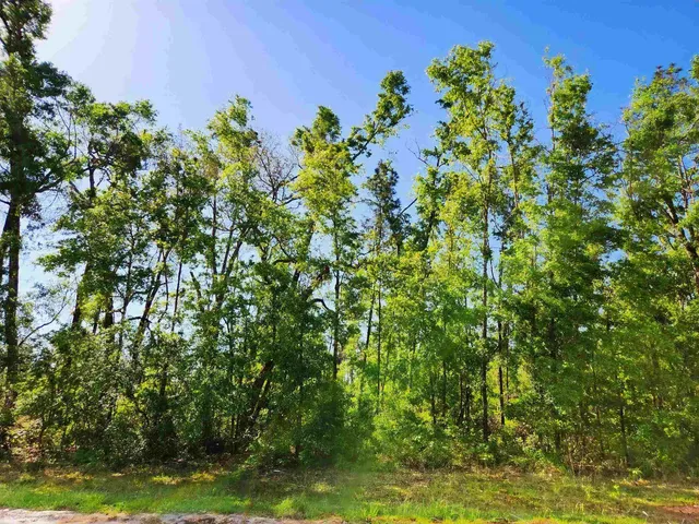 $49,900 | Lot 14 Northwest Champion Oak Boulevard, Jennings, FL 32053