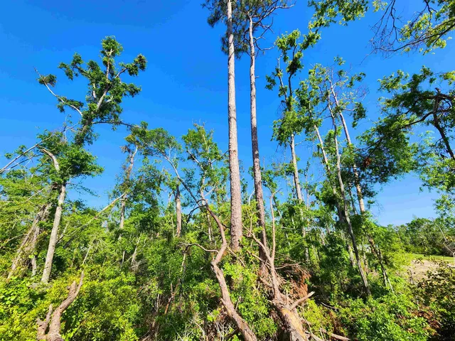 $49,900 | Lot 14 Northwest Champion Oak Boulevard, Jennings, FL 32053