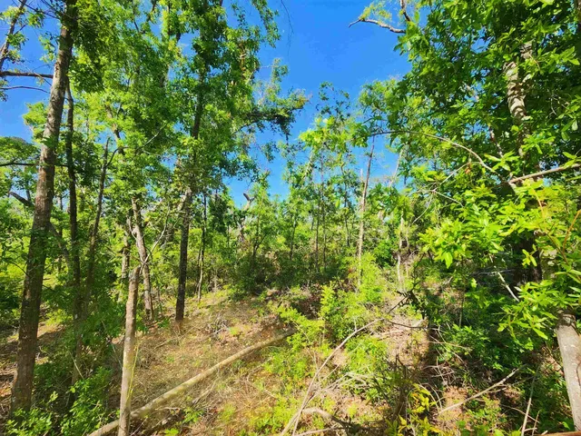 $49,900 | Lot 14 Northwest Champion Oak Boulevard, Jennings, FL 32053