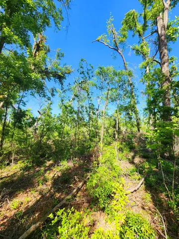 $49,900 | Lot 14 Northwest Champion Oak Boulevard, Jennings, FL 32053