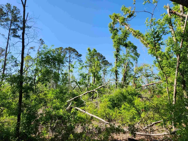 $49,900 | Lot 14 Northwest Champion Oak Boulevard, Jennings, FL 32053