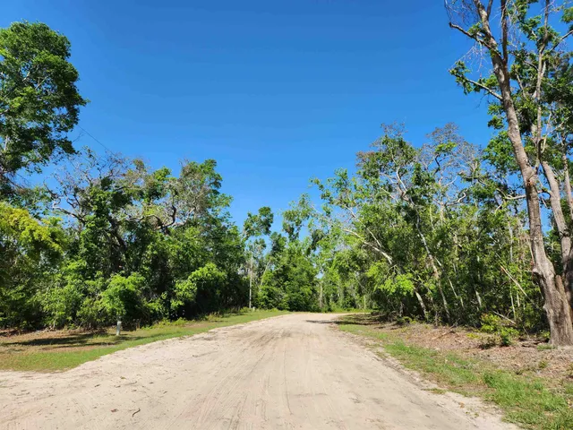 $49,900 | Lot 14 Northwest Champion Oak Boulevard, Jennings, FL 32053