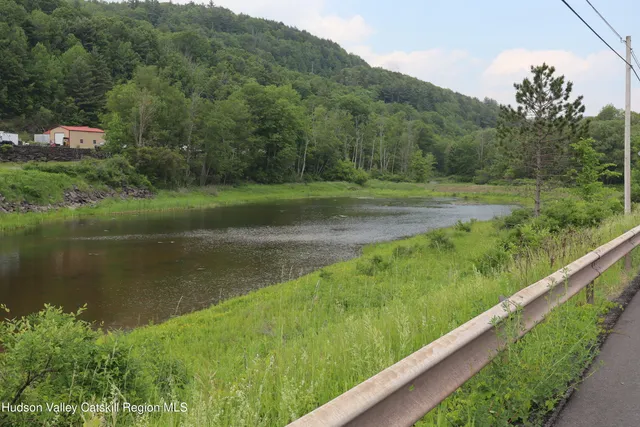 a view of a garden with a lake