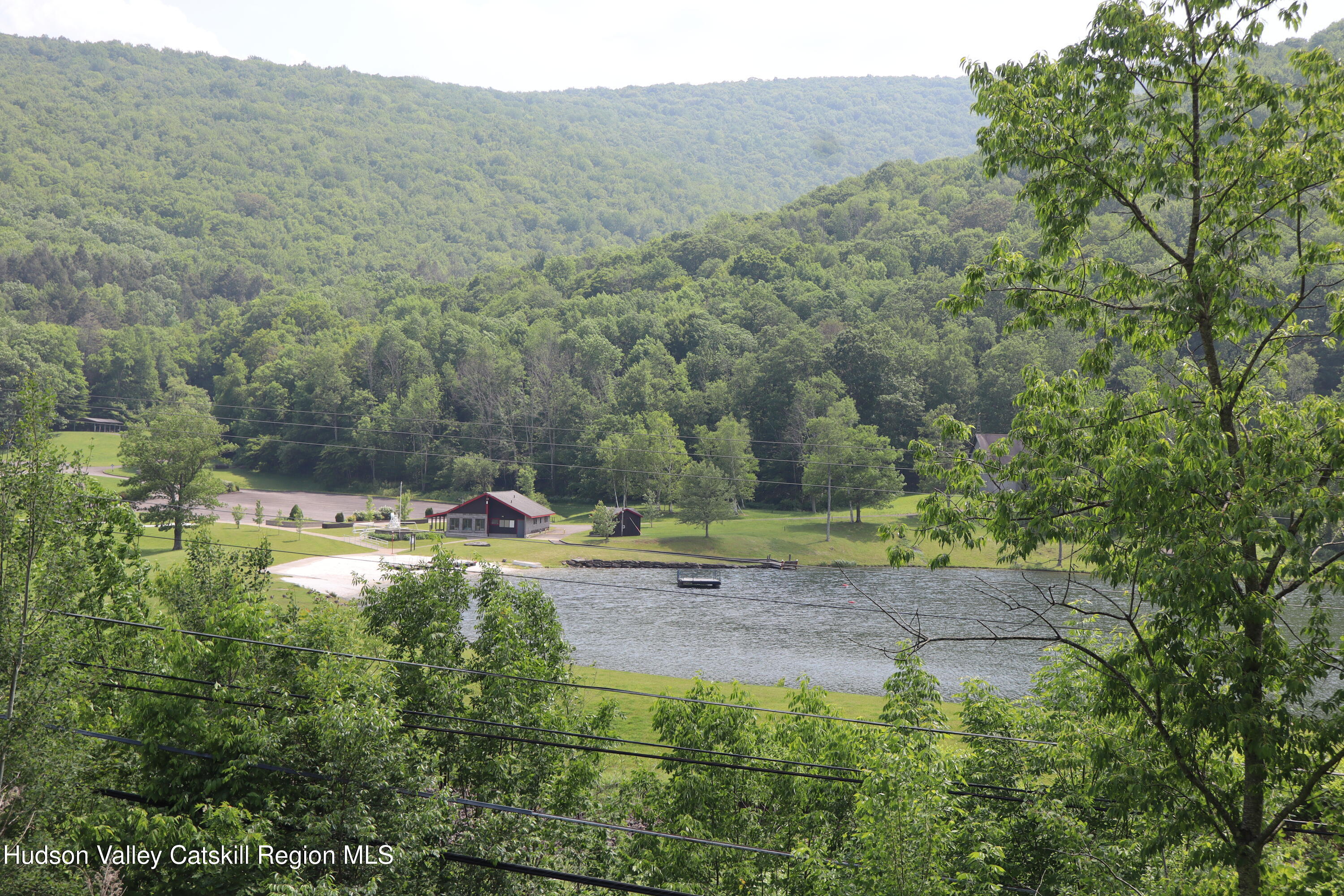 86 Old Rte 28 Fleischmanns, NY 12430 - Photo 8 of 12 a view of a forest with a yard