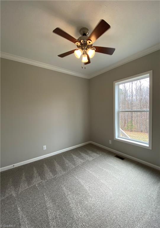 1031 Trinity Church Road Tobaccoville, NC 27050 - Photo 14 of 22 Gallery Image 14