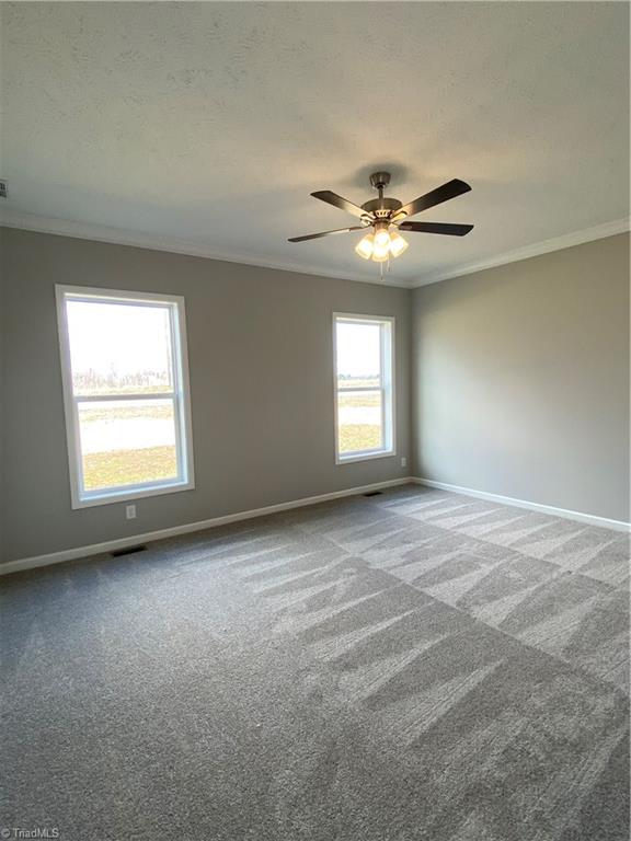1031 Trinity Church Road Tobaccoville, NC 27050 - Photo 9 of 22 Gallery Image 9