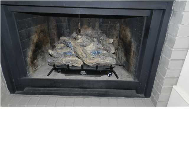 167 Fern Valley Road Brandon, MS 39042 - Photo 4 of 17 Gas Logs