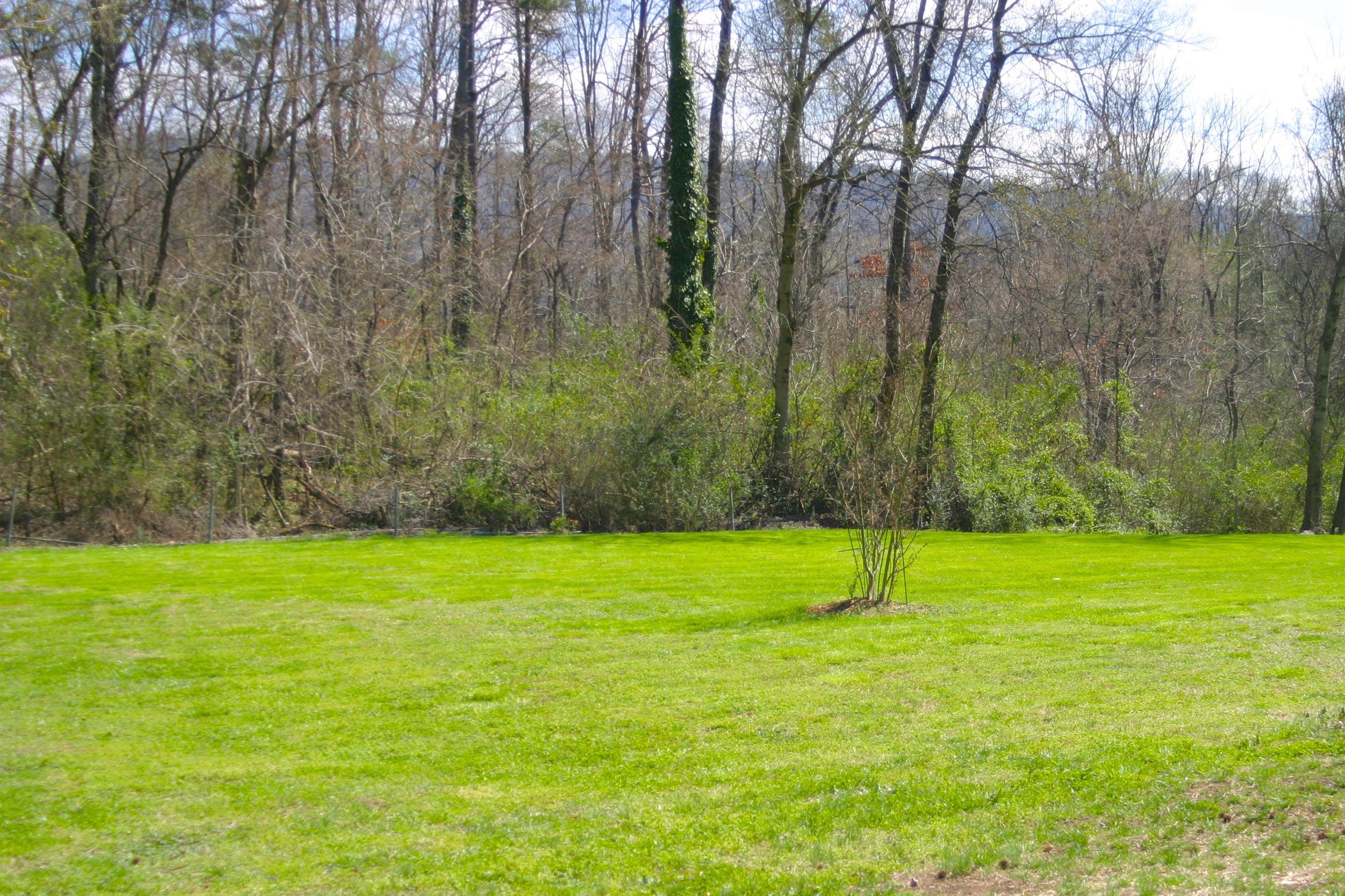 416 Isbill Road Chattanooga, TN 37419 - Photo 22 of 24 IMG_2561.jpg