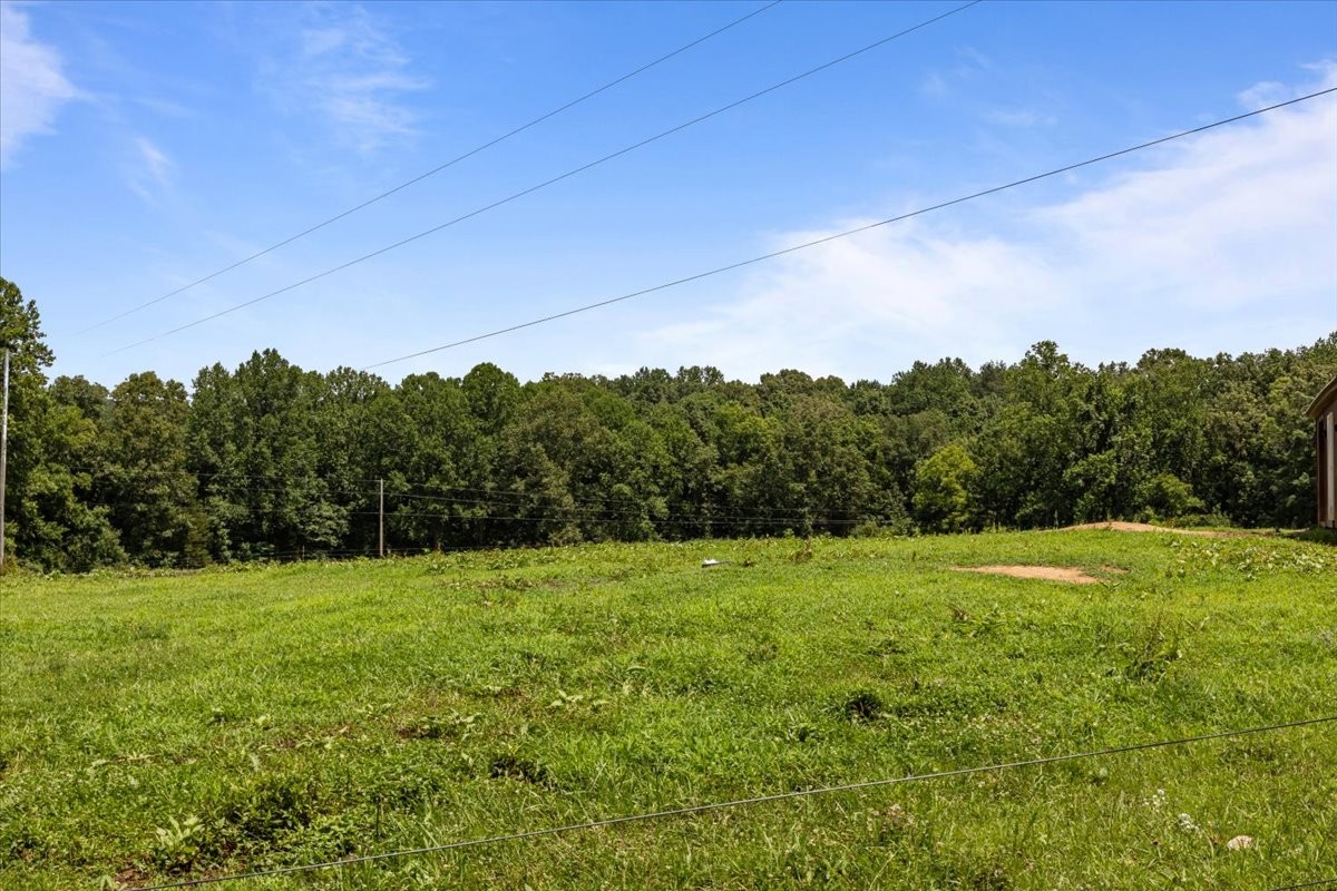 4251 Spring Valley Road Cumberland City, TN 37050 - Photo 47 of 67