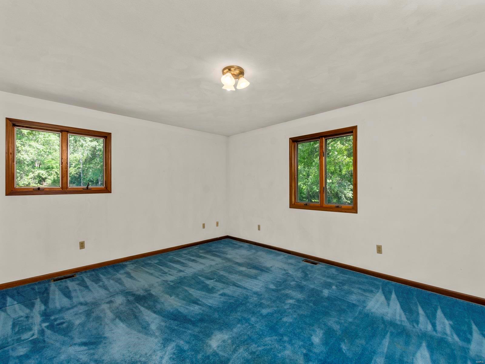 1935 Lebanon Avenue Belleville, IL 62221 - Photo 38 of 70