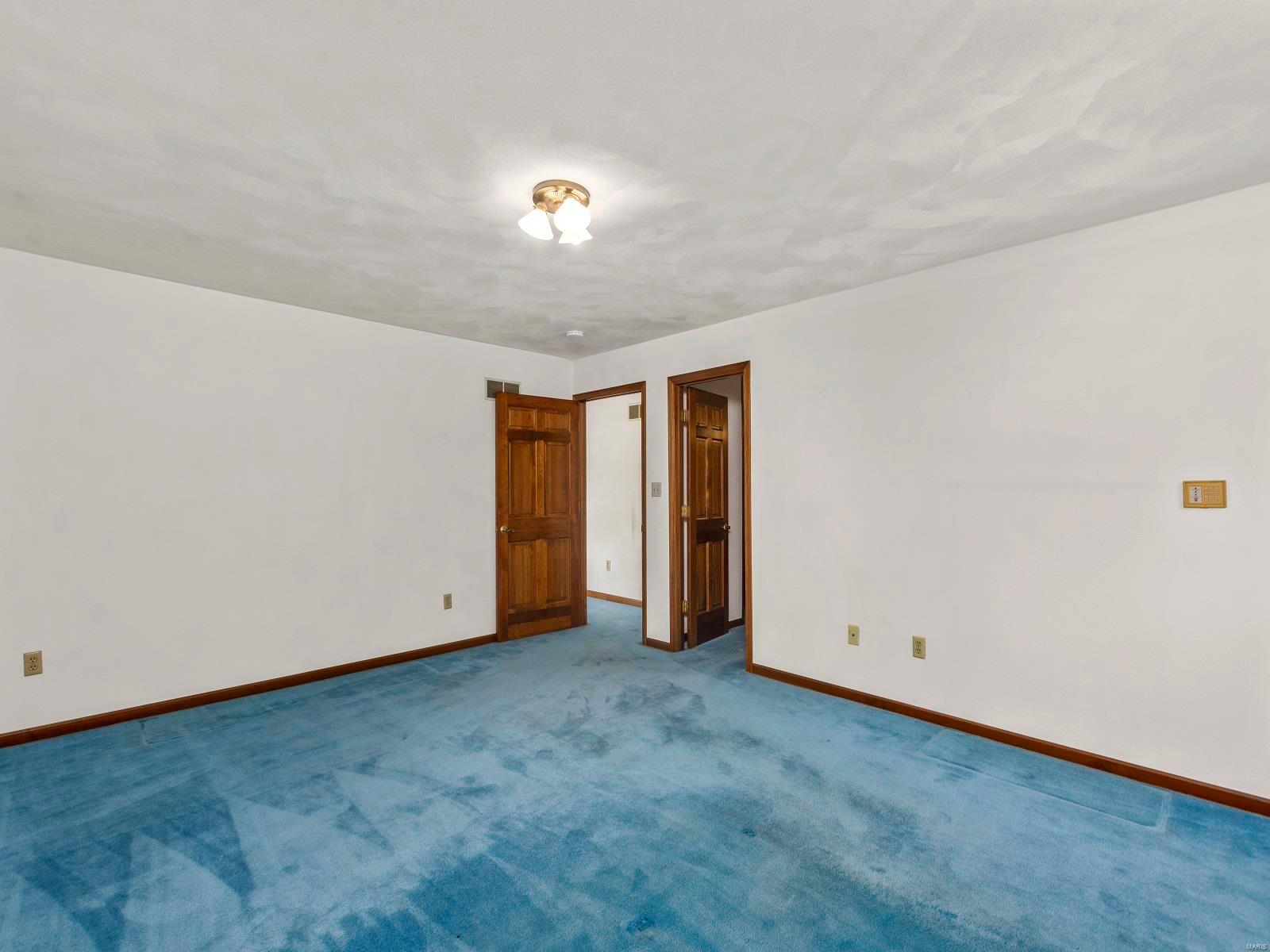 1935 Lebanon Avenue Belleville, IL 62221 - Photo 39 of 70