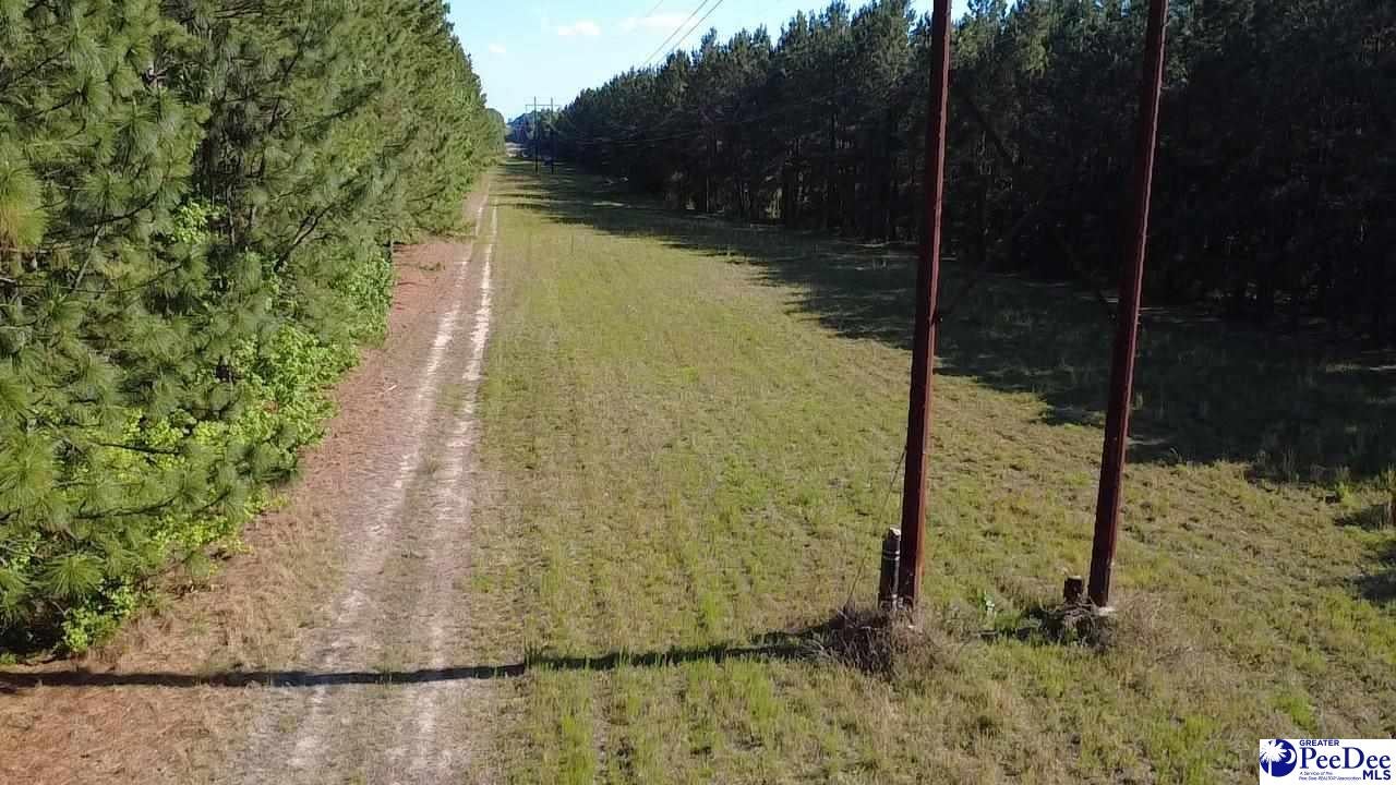Tbd Tbd River Neck Road Florence, SC 29505 - Photo 20 of 47 Gallery Image 20